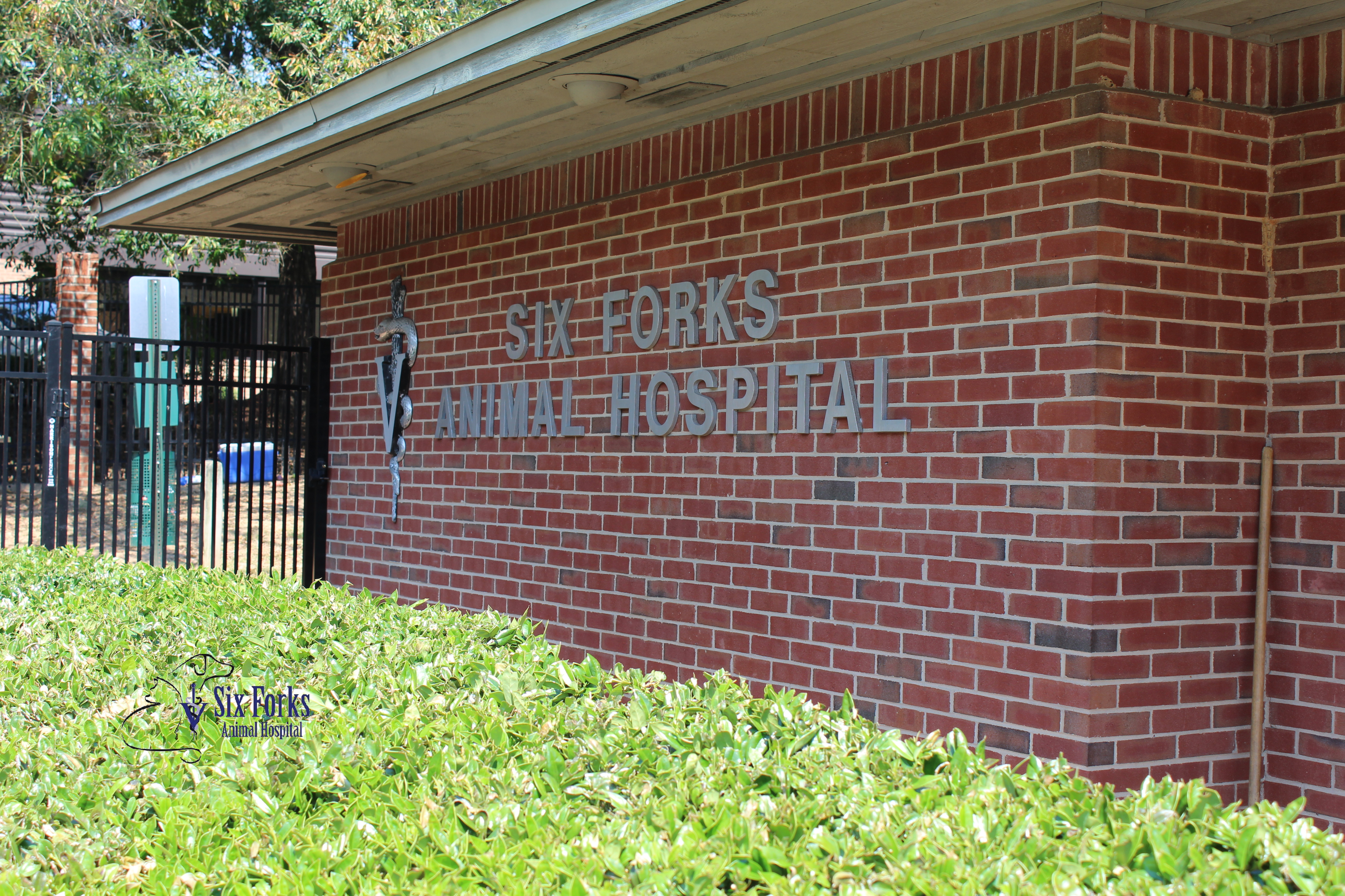 Six Forks Animal Hospital - Veterinarian In Raleigh, NC USA :: Home Six  Forks Animal Hospital - Veterinarian in Raleigh, NC US